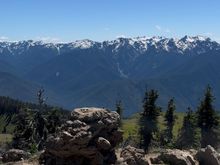 View of the Olympic mountains from hurricane hill trail