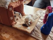 30+ year old, made of soft fabric figures that stored in the fabric stable.