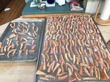 They look good but I am hoping they dry out some more.