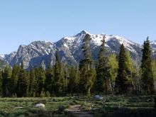 Lake Creek-Woodland Trail Loop