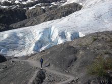 Exit glacier trail
