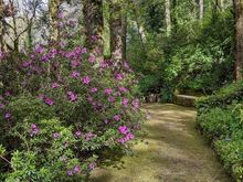Pena Palace grounds