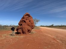 Giant temite mound