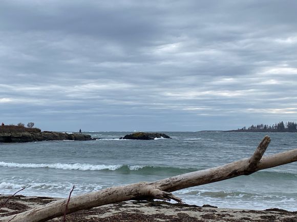 Rough today. But beautifully natural. 