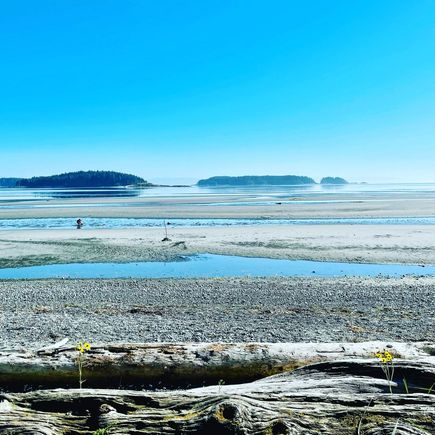 Raves: back in my hometown and the weather is spectacular and no fires here. This is the beach where I spent my childhood- happy days of clam digging, crabbing, swimming at high tide, rowing out to the islands to explore, many picnics and wiener roasts with friends.
Small rave: I am helping my mom sort out some very cluttered cupboards- she is a person who saves everything. This is good and bad-some fun finds it also a lot of dusty old magazines etc.