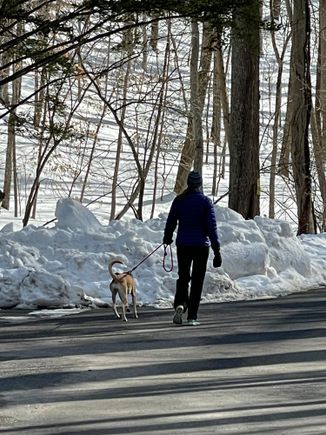 My little post-election “friend” - we “met” for the first time on that Saturday we knew who our new president would be. 