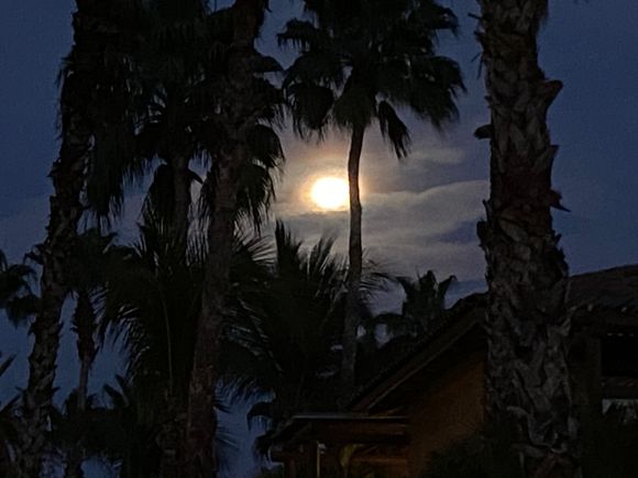 I wanted to show Zig the gorgeous moon but couldn’t get a good photo...