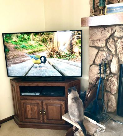 He will watch for about an hour