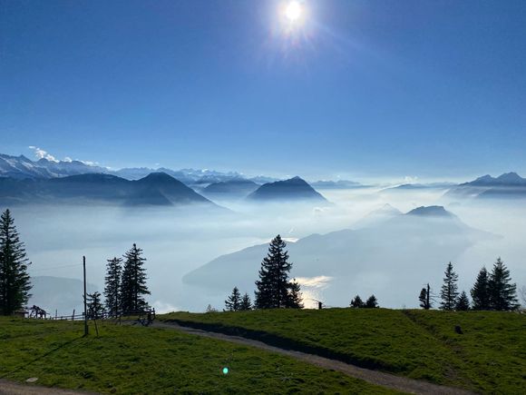 Taken up on the Rigi today 