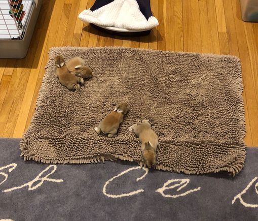 You might have to zoom in on this one. 