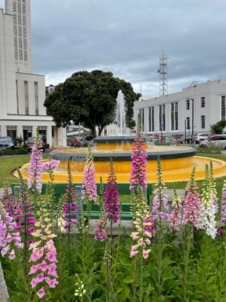 Fountain Napier