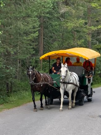 The second carriage carrying the rest of the group 
