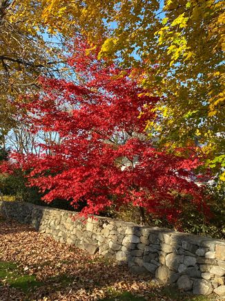 Plus some pretty colors. 