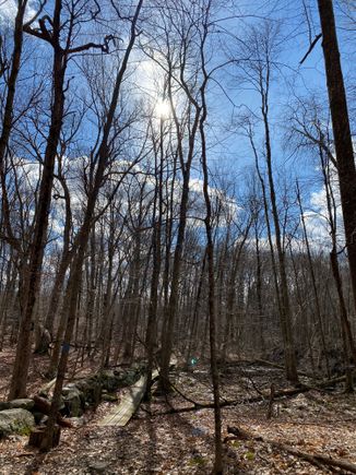 Here’s the new trail I walked today that my very sweet dentist recommended. It’s something I’ve walked past a gazillion times but never took. 5 miles today! 