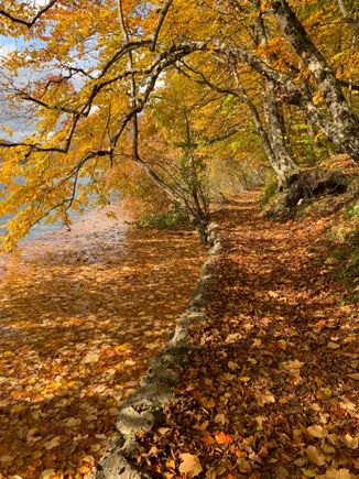 I love this pictures.  It was so nice to see and hear the leaves falling.  
