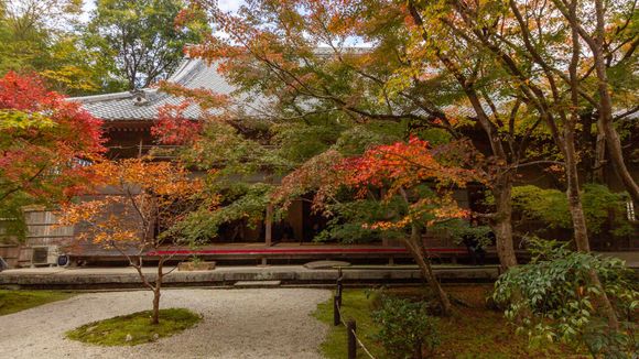 View from the opposite direction