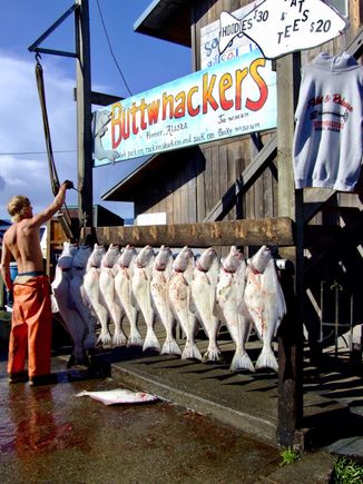 Homer, Halibut capital of the world 