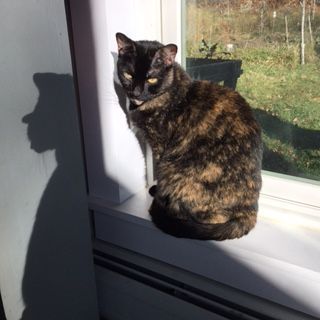 Pippi with Jughead shadow