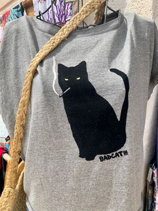 For all the cat lovers 


