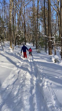 Snowshoeing