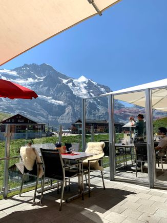 View from the lunch table!