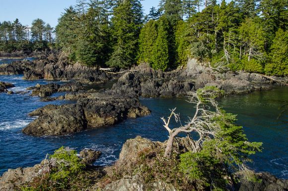 'Oyster Jim' Martin and his team have created a series of wonderful walkways and lookouts along the trail.