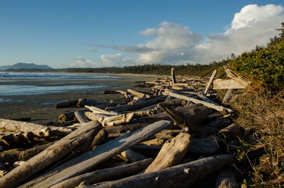 Remote Wick(annish) Beach, not to be confused with Tofino's upscale lodge of the same name.