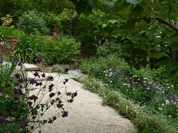 Lots of meandering paths