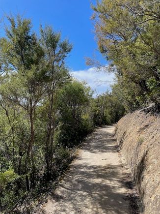 The vegetation starts to change as we get further north
