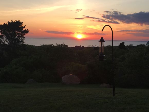 Watching the sunset with my bird friends. Mr. Gruezi got them a new feeder. A gorgeous weekend. Milk and honey. 