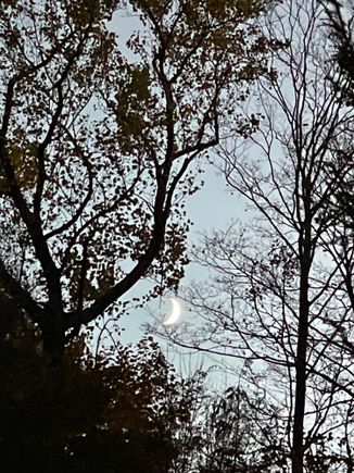 This moon is for Ziggy. 