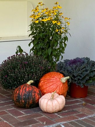 From our Autumn outing...