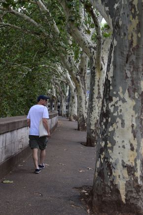 Along the Tiber