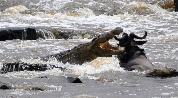 We could not look away despite how horrifying this was.