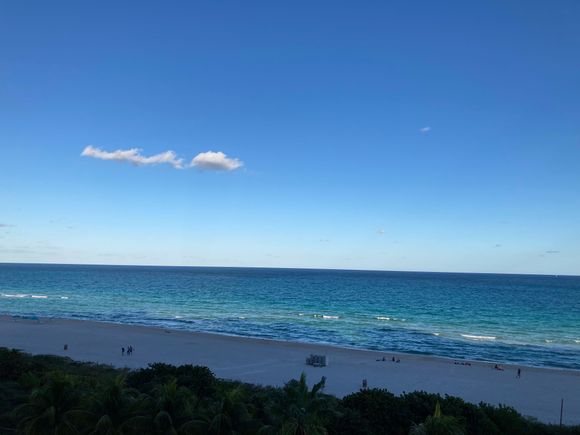 Merry Christmas from Miami Beach!