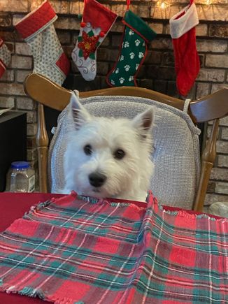 Watson says yeah me too!