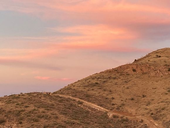 These are from where my wife is. Very starry as only a few buildings and off the grid.


dfrost, beef shin, or shanks, are best braised as the meat is very tough, but it’s delicious  and the marrow is wonderful. 

