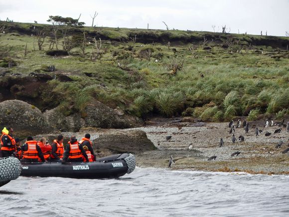 Zodiacs approaching Tucker's Islets