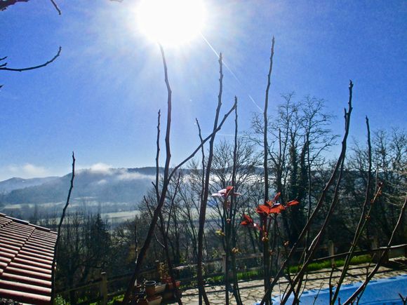 Morning fog burning off