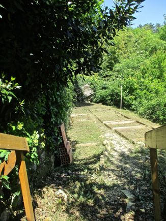 Vegetable garden is finally cleared for planting