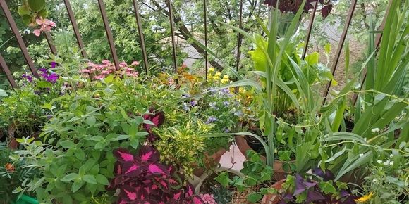 My cousin's balcony/Gdynia