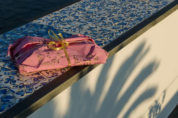 The Contes will spoil you, oft by surprise. We found this packet from Vittoria Cafe/pastry shop in our entry lobby one morning. So thoughtful. Millie Grazie!