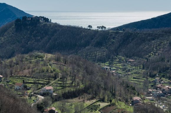 We went to the agricultural hinterlands of Tramonti, where Sal de Riso's factory is located. 