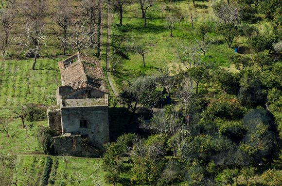 Those images of a fast-vanishing yesteryear...