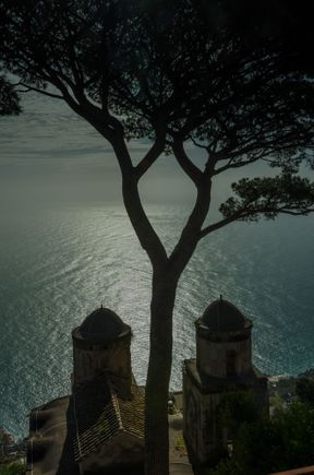 Villa Rufolo's iconic umbrella pine looming over its twin little towers.