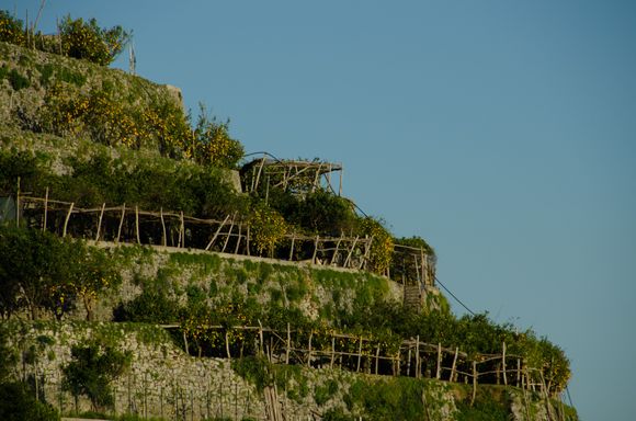 Near Torre hamlet and its petite church. Local growers do a lot of 'up and down'. Strong legs no doubt.