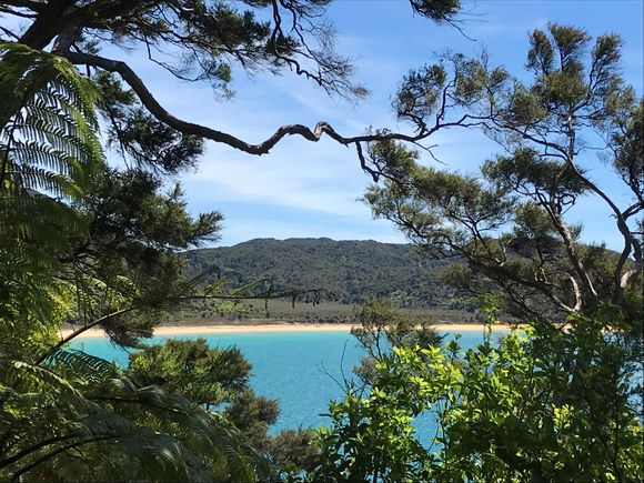 View Abel Tasman National Park