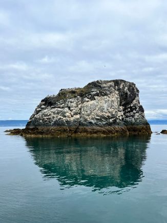 One of the islands near Gull Island. There is a bird in every nook in the rock and at the top 