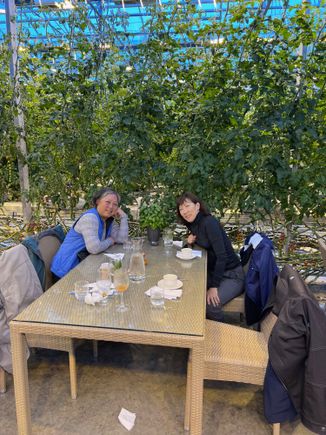Friðheimar - lunch amongst the tomato plants
