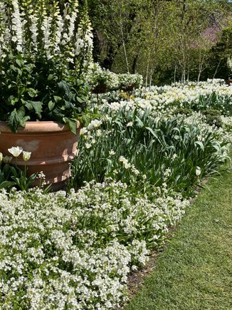 The flower garden walk at Longwood features a series of beds with a progression of colors.